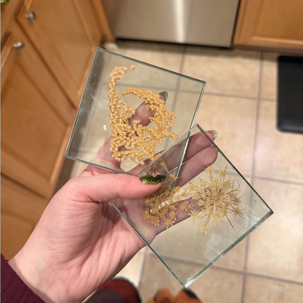 Pressed floral specimens